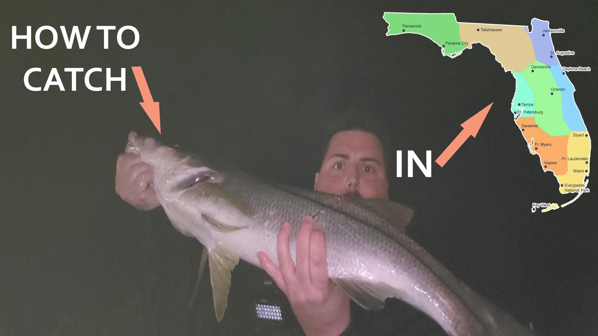 How to Catch Snook in Florida