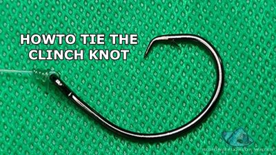 How to tie a Clinch Knot