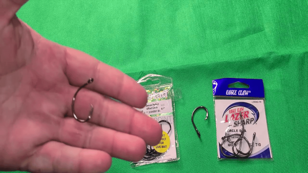 Best Hook Size for Snook and Tarpon