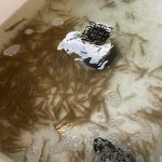 Riviera Bait & Tackle Live Shrimp