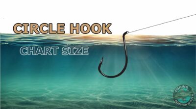 Circle Hook Chart Size