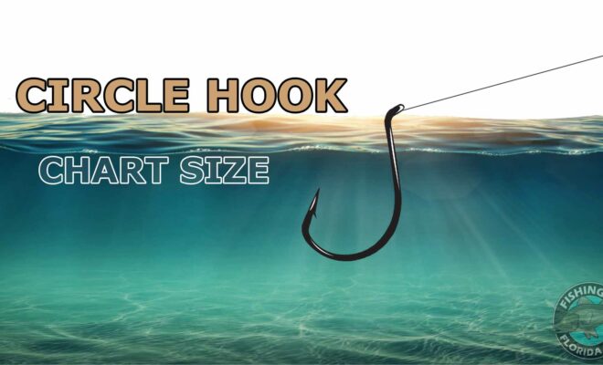 Circle Hook Chart Size