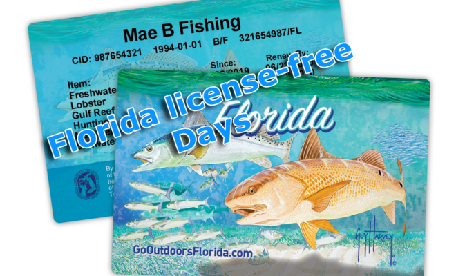 Florida license-free Days