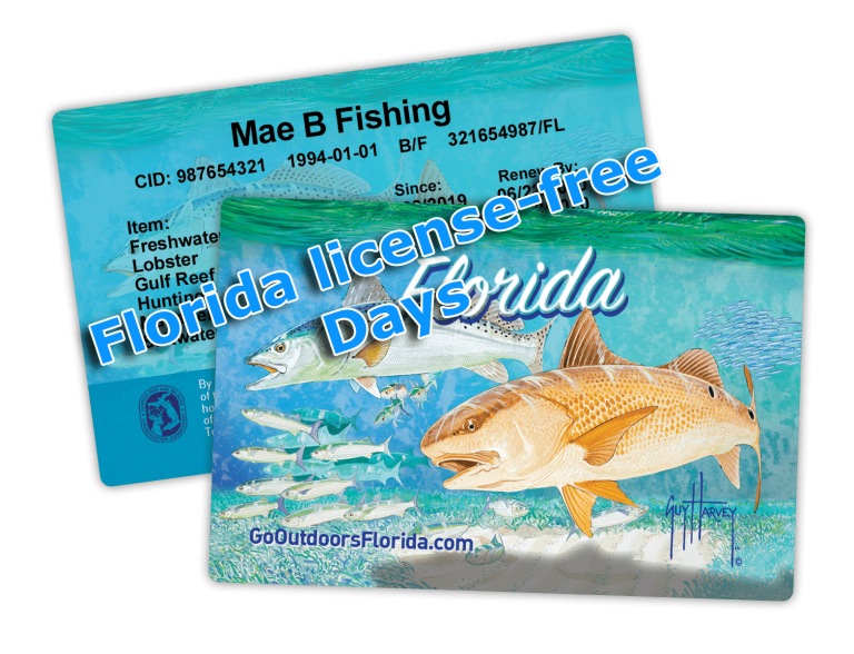 Fla Rigs A Beginner's Guide to the Sabiki Rig - Fishing Florida Water LLC ...