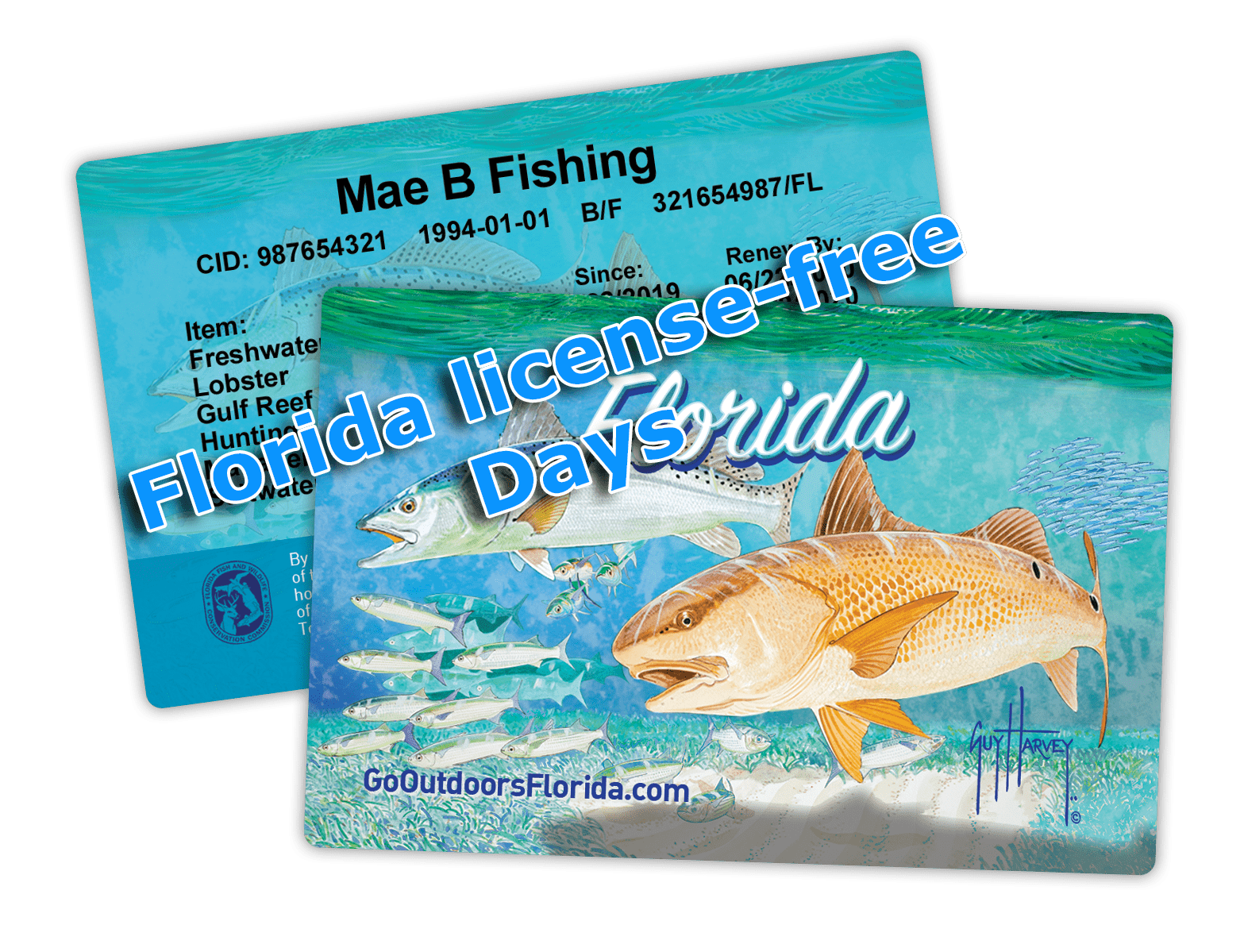 Florida license-free Days