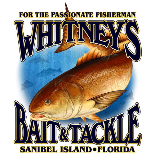 Whitney's Bait & Tackle Shop: All You Need to Know! - Fishing Florida Water  LLC