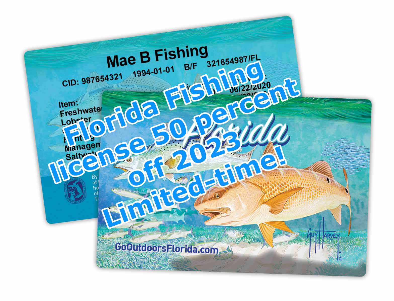 50% Discounts for Florida