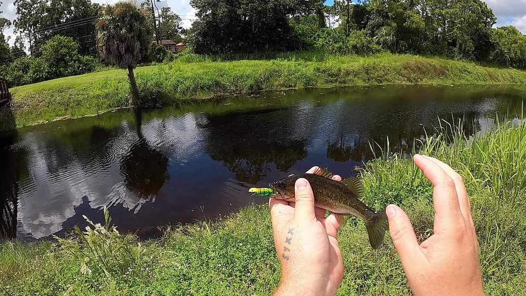 Freshwater Fishing