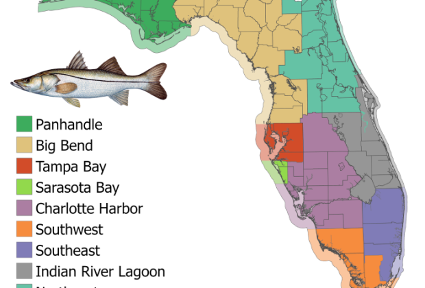Florida map showing snook management regions