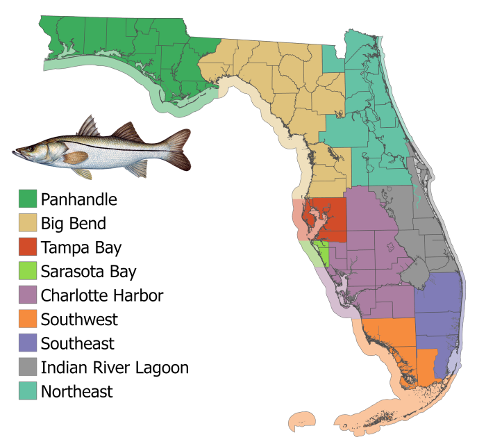 FWC Approves Three New Florida Saltwater All-Tackle Fishing