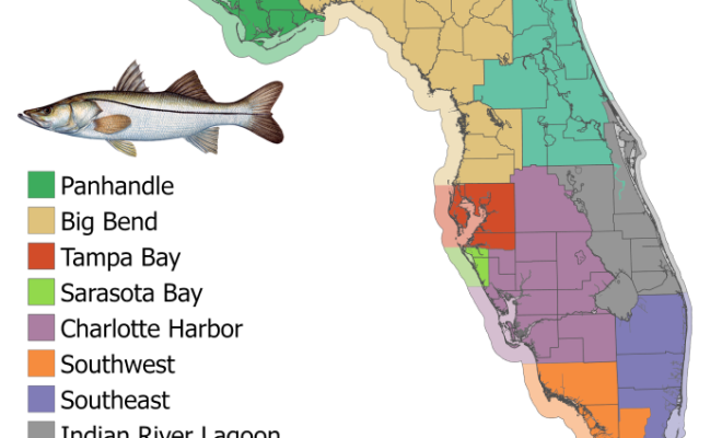 Florida map showing snook management regions