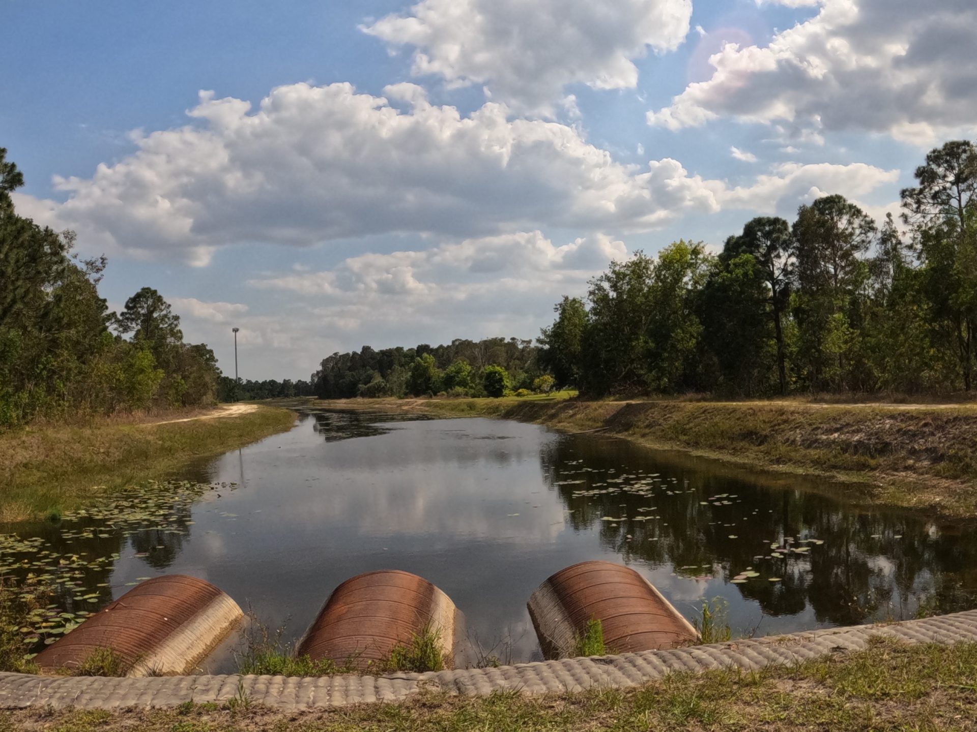 Canal Fishing in Lehigh Acres