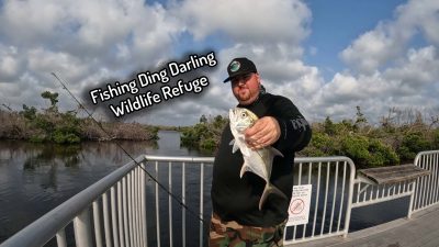 Fishing Ding Darling Wildlife Refuge