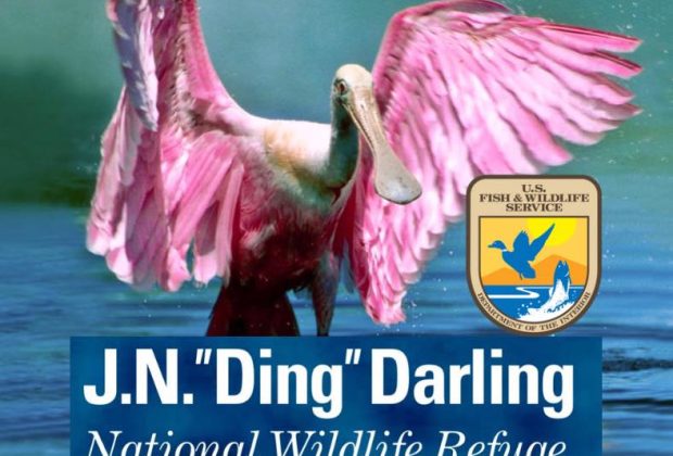 Ding Darling National Wildlife Refuge