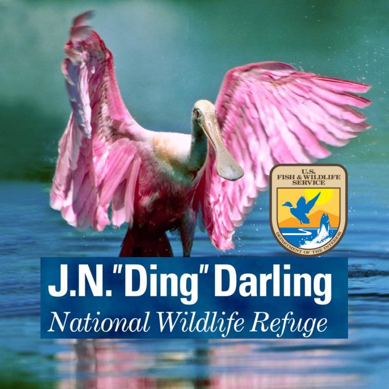 Ding Darling National Wildlife Refuge