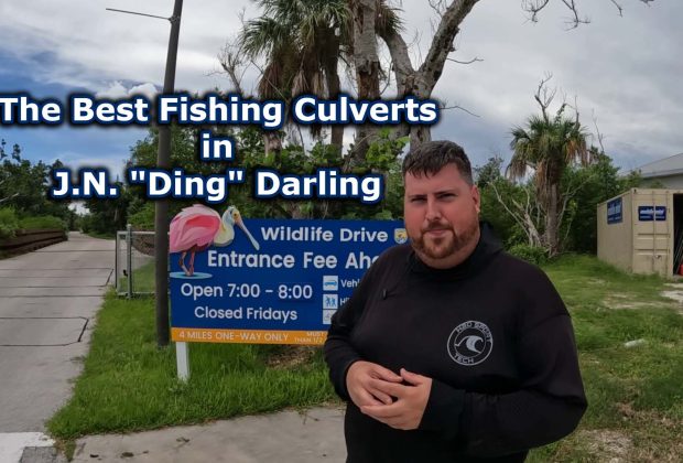 The Best Fishing Culverts in J.N. "Ding" Darling National Wildlife Refuge