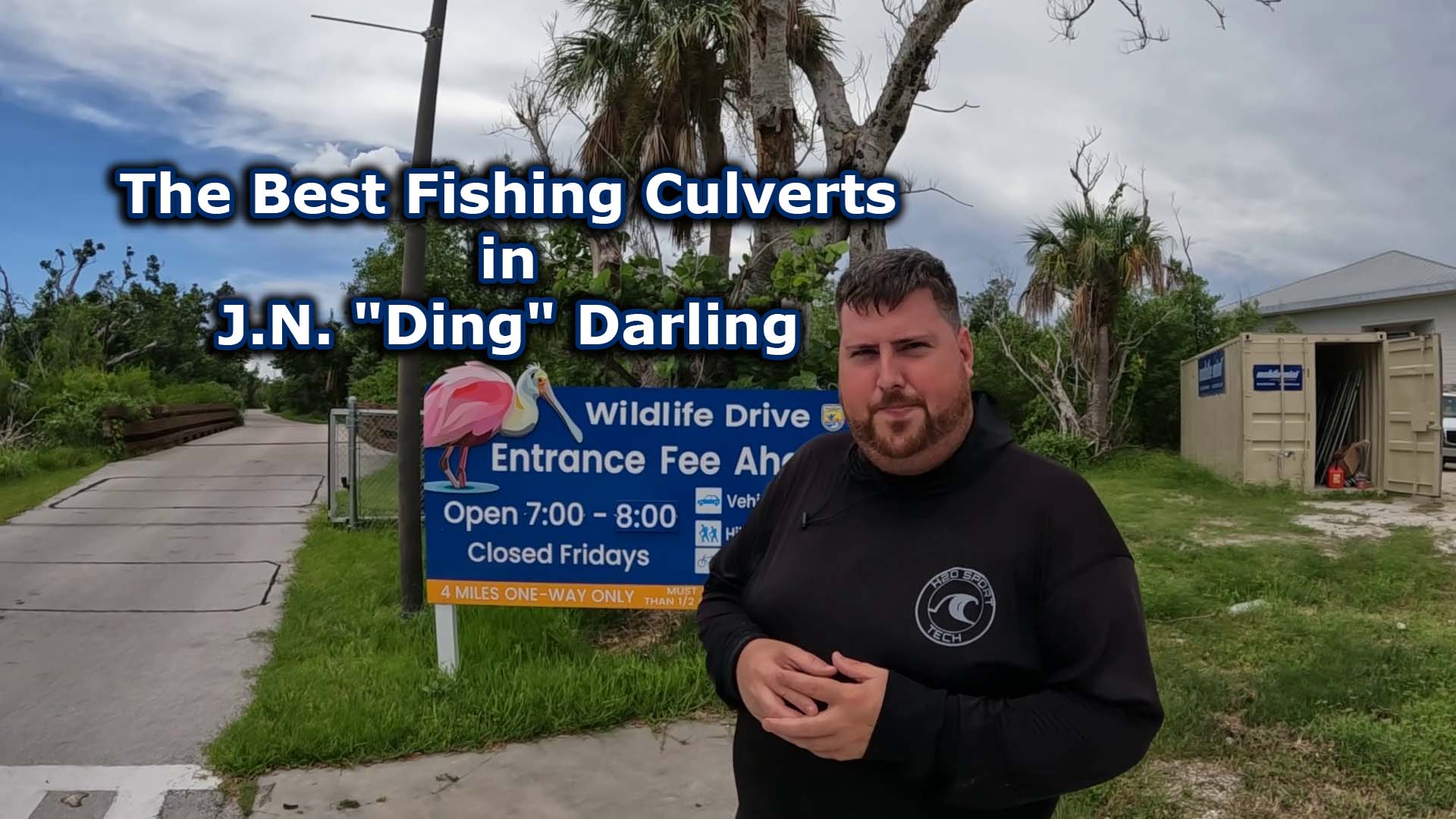 The Best Fishing Culverts in J.N. "Ding" Darling National Wildlife Refuge