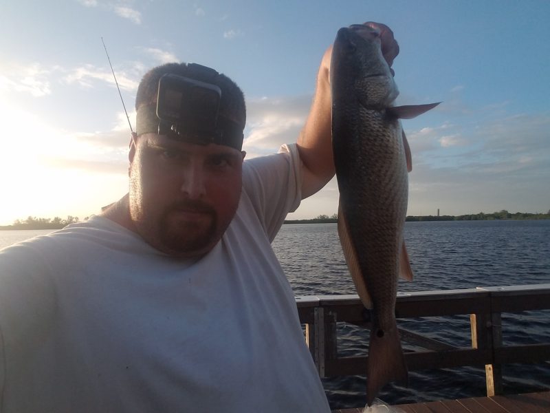 redfish