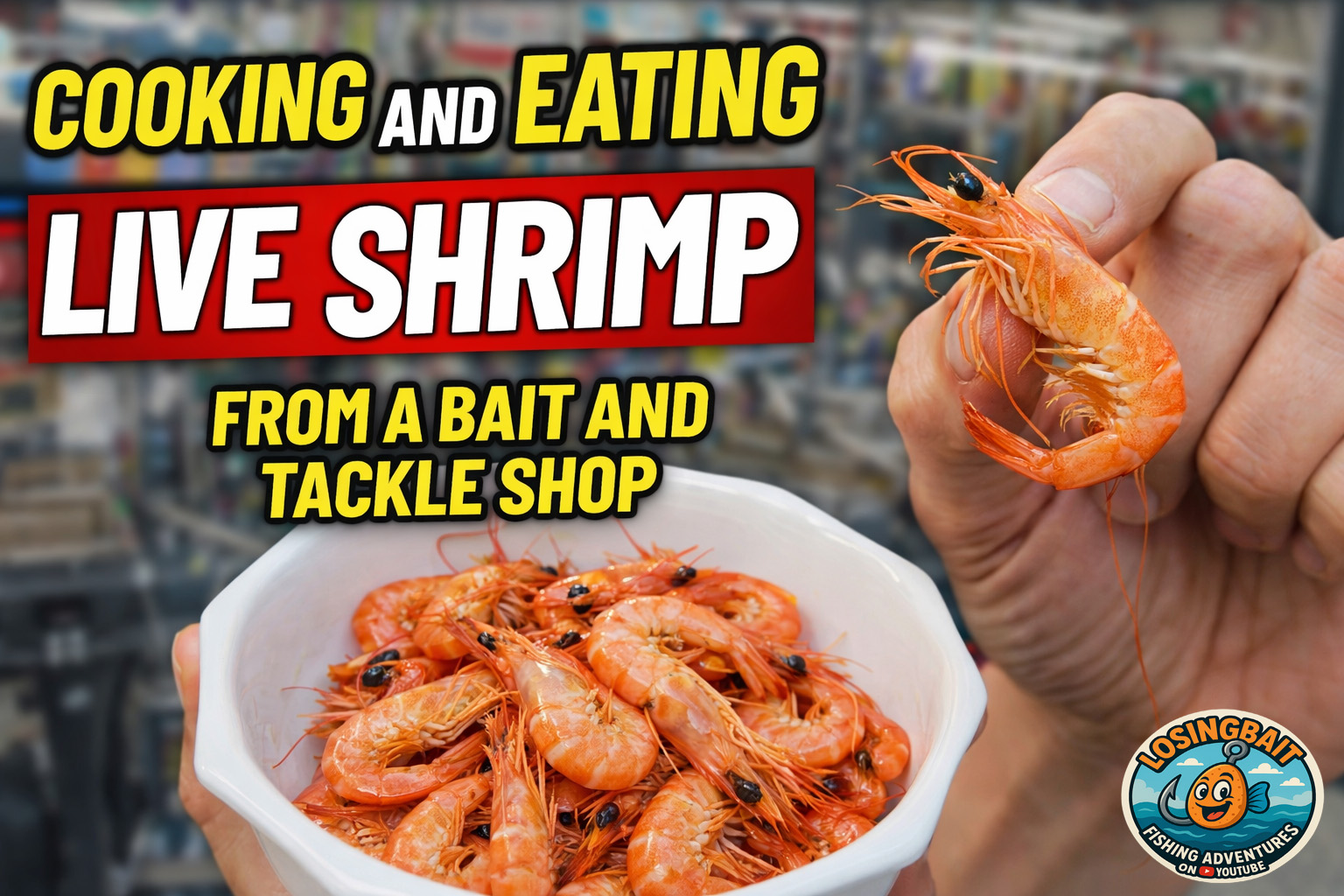bait shop shrimp